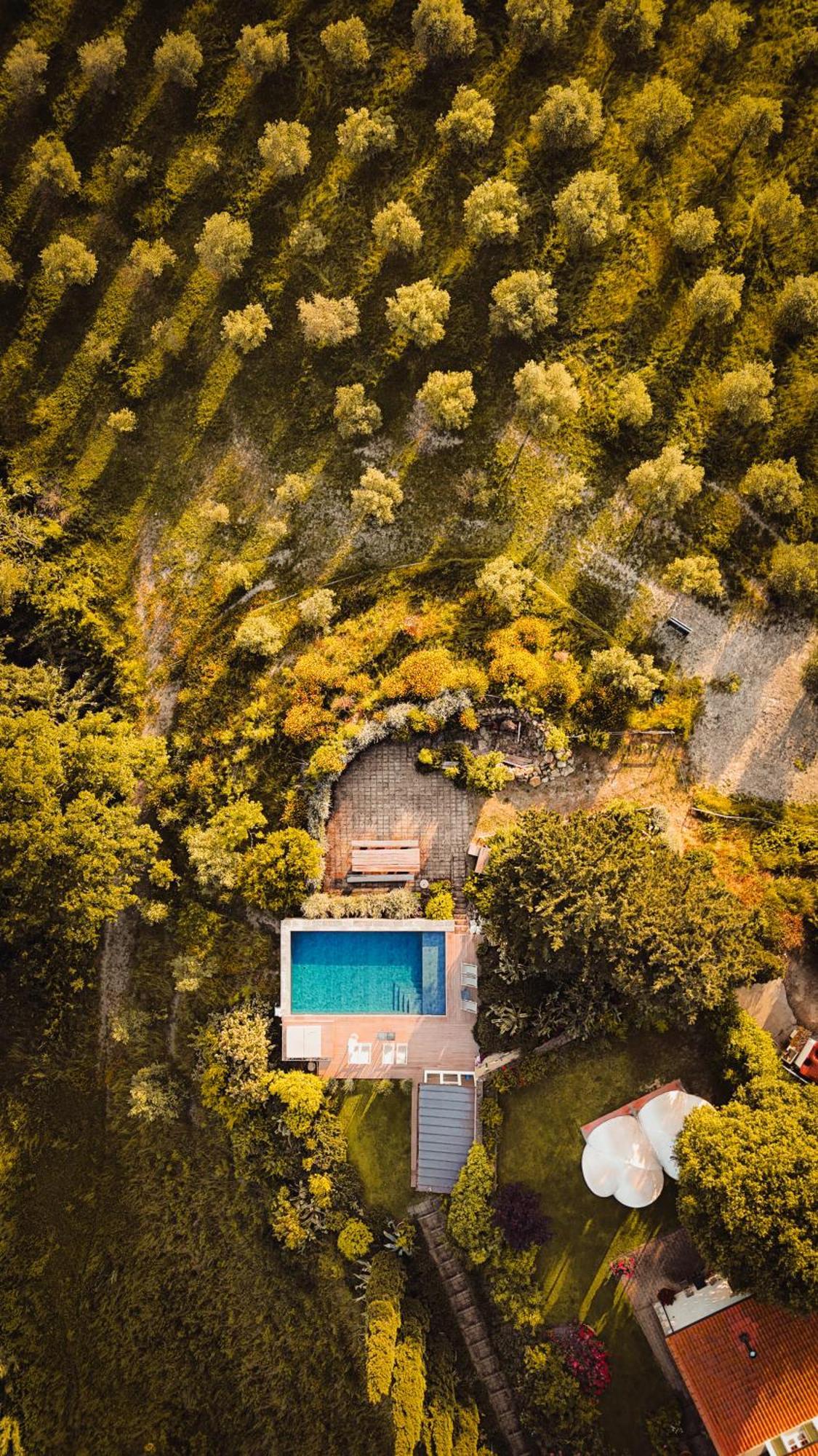Agriturismo Podere Il Fornacino Санта-Луче Екстер'єр фото